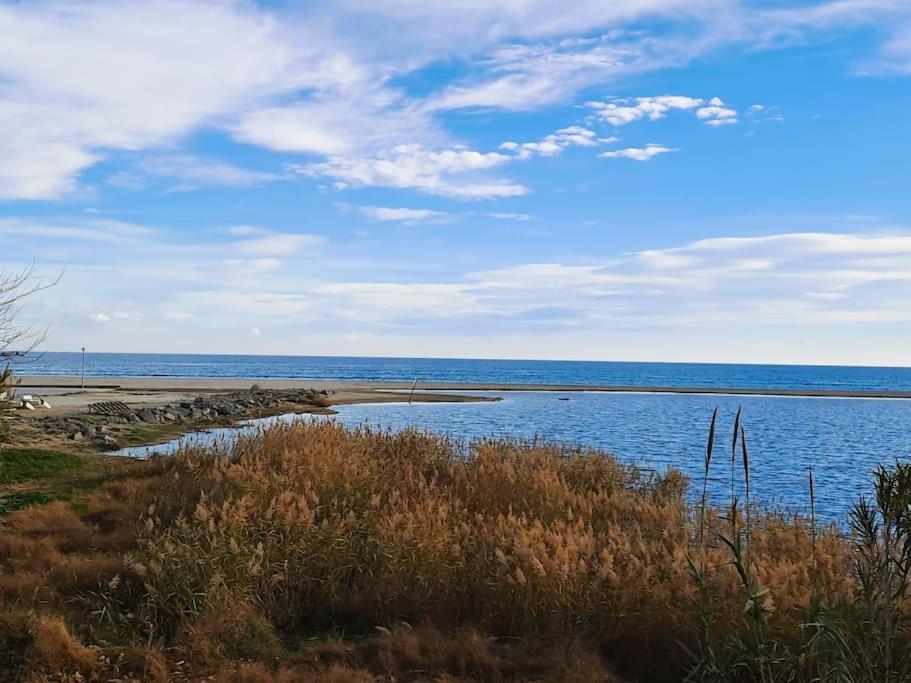 Apartamento 1A Linea De Mar Empuriabrava Dış mekan fotoğraf